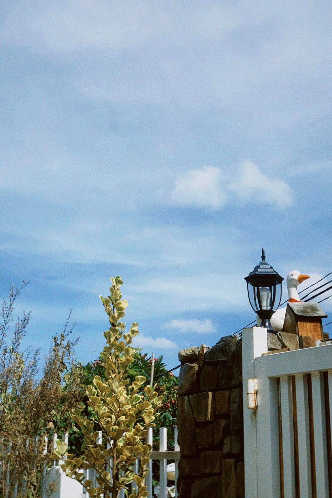 Chai Nho Homestay Dalat Eksteriør bilde