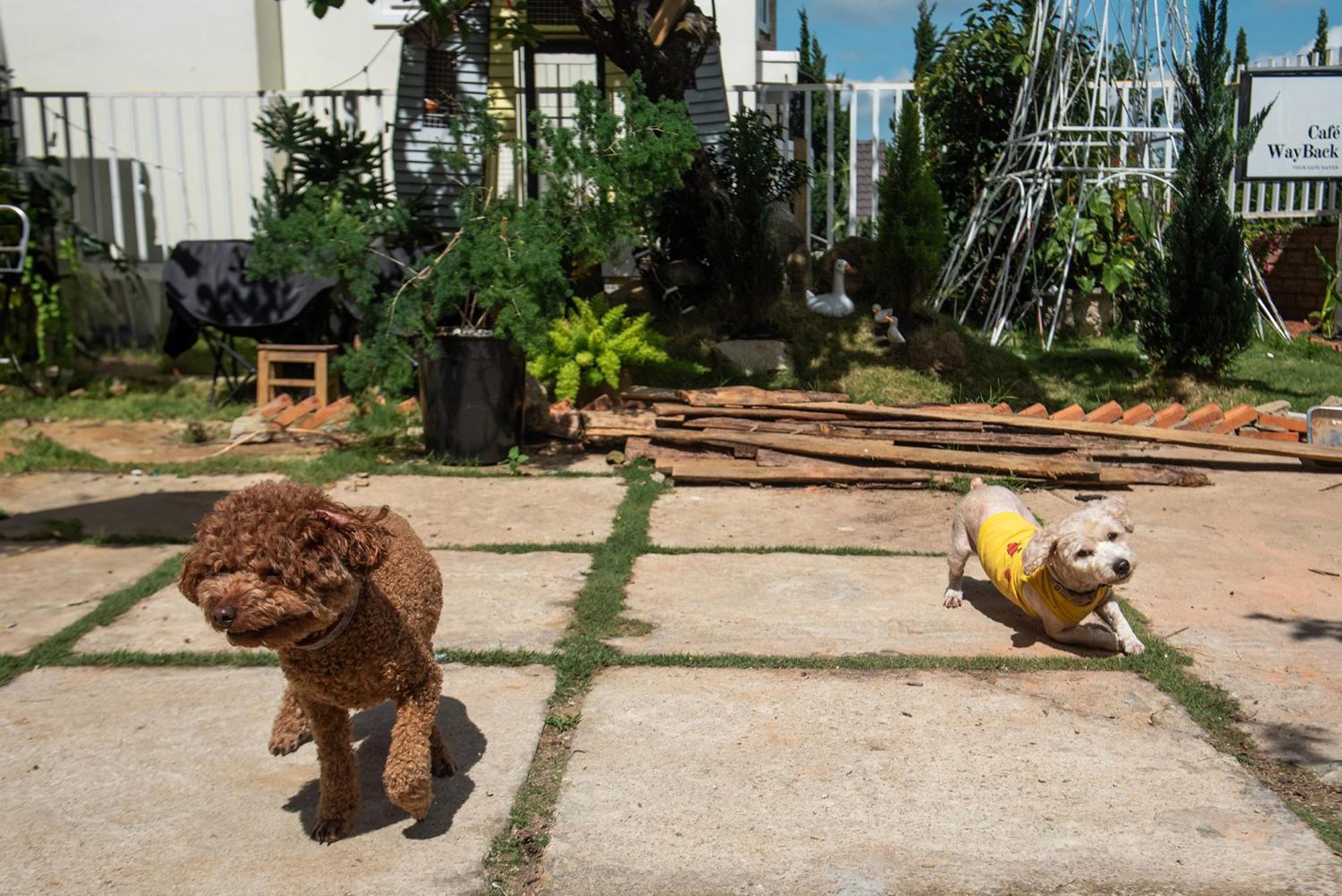 Chai Nho Homestay Dalat Eksteriør bilde