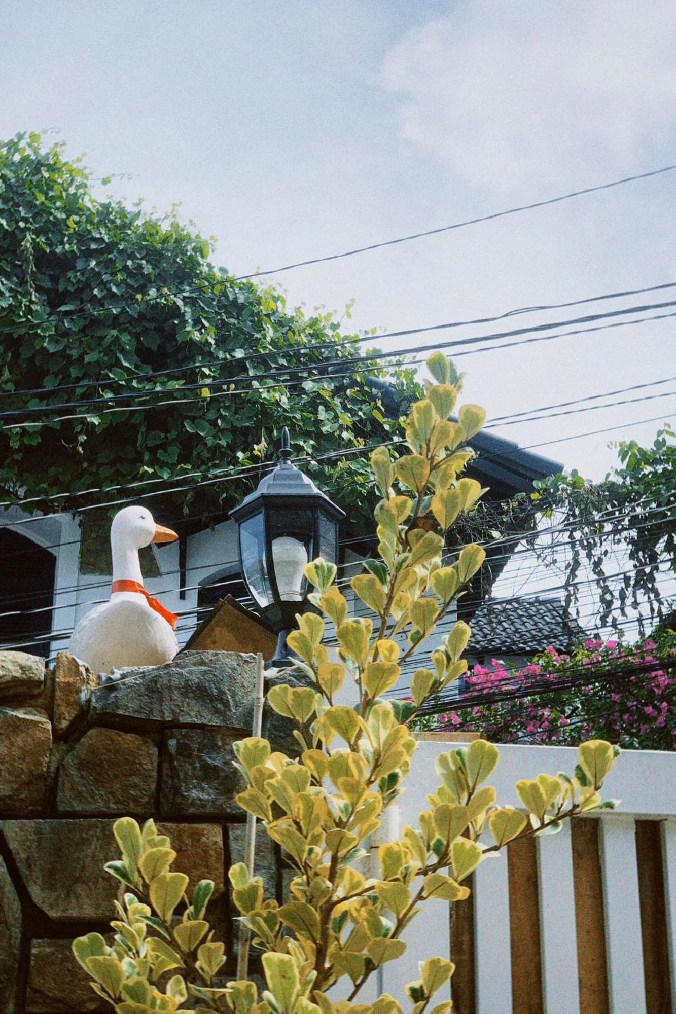 Chai Nho Homestay Dalat Eksteriør bilde
